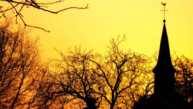 Church steeple and tree silhouette at sunset