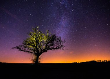 Yellow illuminated naked tree in winter fields with milkyway and stars in the background