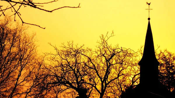 Church Steeple Tree Silhouette Sunset — Fotografia de Stock