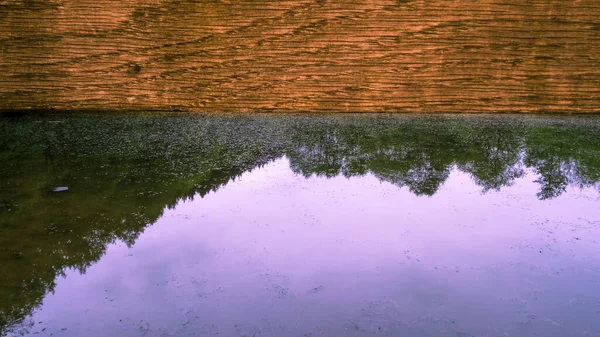 Solo Reflejo Los Árboles Lago Revés Enmarcado Por Barra Cerca —  Fotos de Stock