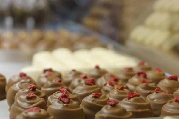 Patern Many Different Chocolate Pralines Showcase Store — Stock Photo, Image