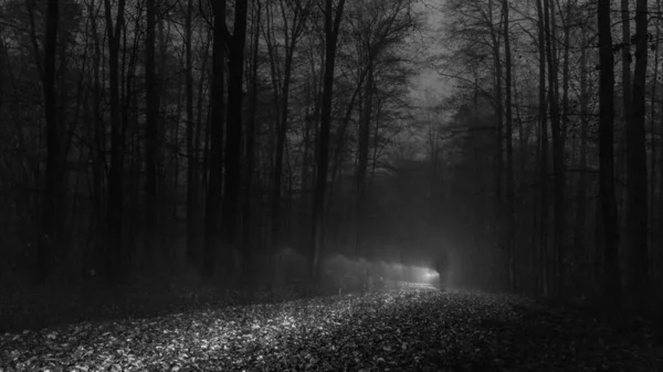 Shadow Man Walking Path Foggy Winter Night Forest — Stockfoto