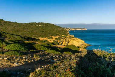Landscape at the coast of Portual with green vegetation in golden sunlight and blue sea, Figueira, Portugal