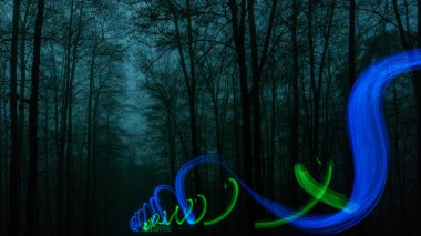 Blue and green lights moving in mysterious dark and foggy forest at night