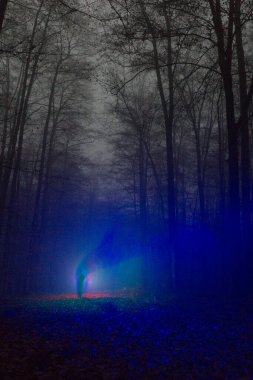 Shadow of man walking on path through foggy winter night forest
