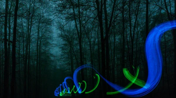 Blue Green Lights Moving Mysterious Dark Foggy Forest Night — 图库照片