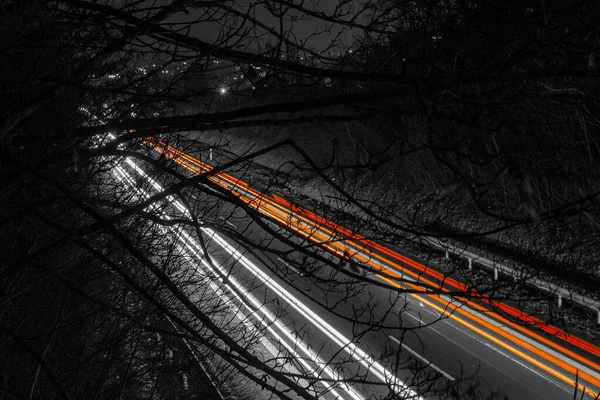 暗い雰囲気の中で木や枝を持つ高速道路の車の光の痕跡 — ストック写真