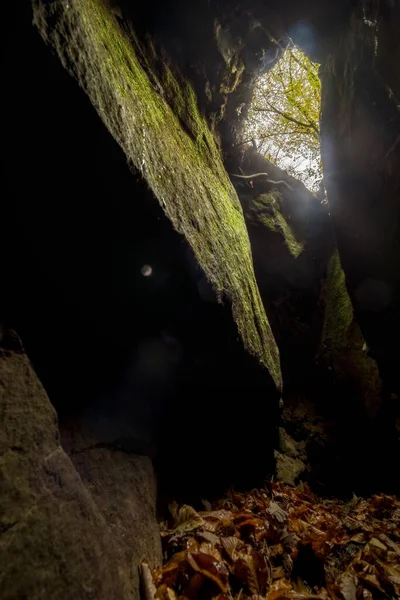 Blick Nach Oben Aus Der Kleinen Dunklen Höhle Herbstwald — Stockfoto