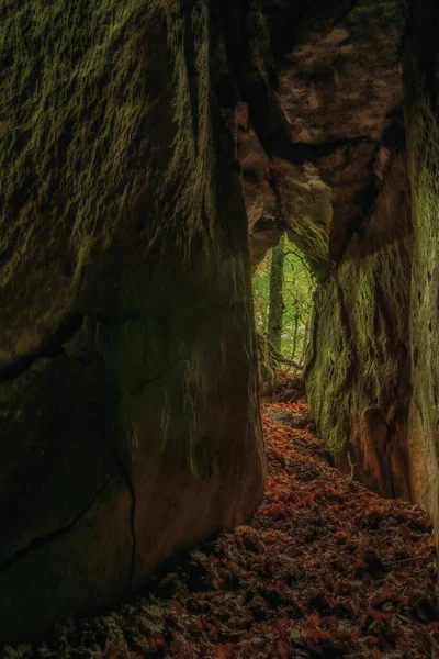 Blick Aus Der Kleinen Dunklen Höhle Herbstwald Mit Laub Boden — Stockfoto