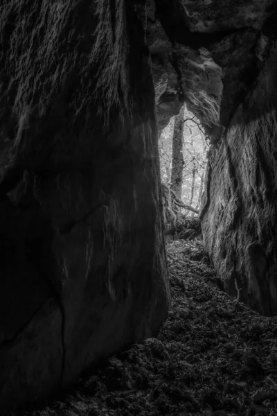 秋の森の中の小さな暗い洞窟の外を眺め 地面には黒と白の葉があります — ストック写真