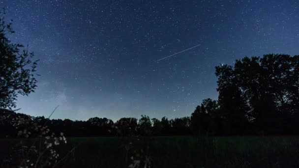 Pohybující Mléčná Cesta Noční Obloze Nad Venkovskou Krajinou Siluetou Stromů — Stock video