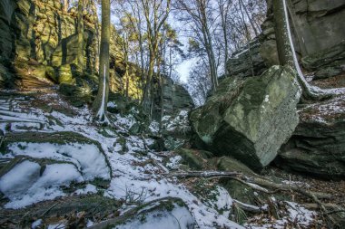 Ormanda kış manzarası, altın güneş ışığı altında kaya oluşumu... Mullerthal, Lüksemburg 'da kış akşamı...