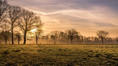 Bir bahar sabahı gün doğumunda hafif sisli ağaçlarla çevrili yeşil çayır.