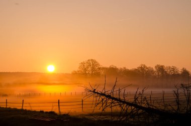 Puslu gün doğumu ön planda atlar ve çitlerle birlikte..