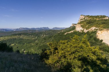 Fransa 'nın Eyzahut kenti yakınlarındaki orman manzaralı Provence manzarası
