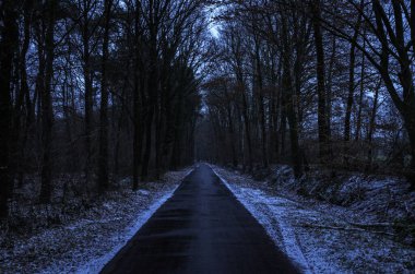 Karanlık kış ormanlarında asfalt yol