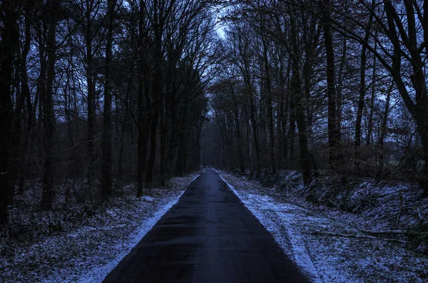 穿越黑暗冬季森林的沥青路 — 图库照片