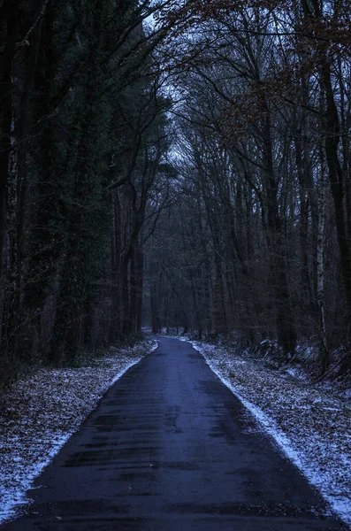 穿越黑暗冬季森林的沥青路 — 图库照片