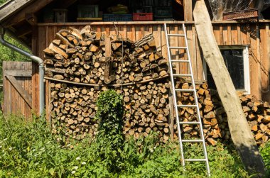 Dışarıda odun deposu ve tarım barının önünde yeşil bitki var.
