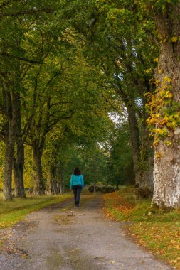 Sonbahar orman yolunda yürüyen bir kadın.