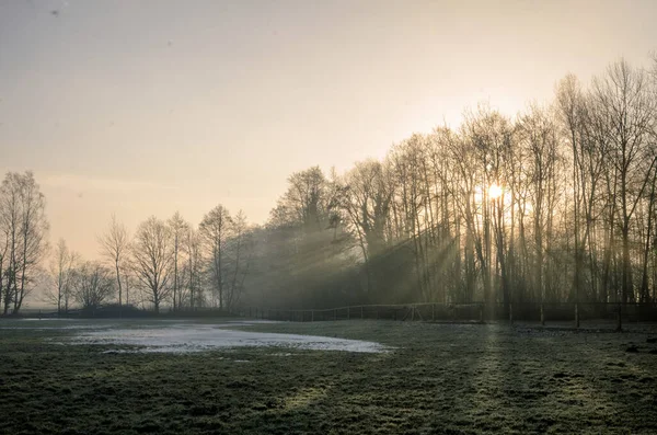 Rayons Soleil Tombant Sur Dernière Neige Sur Une Prairie — Photo