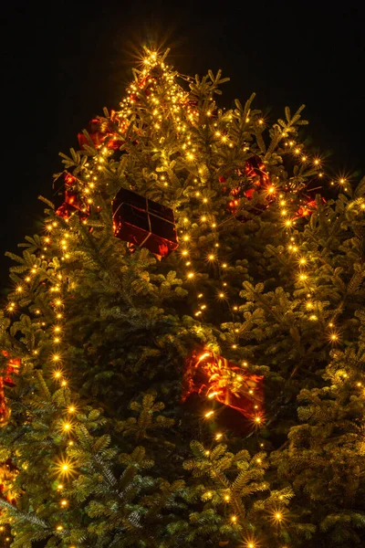 shining lights of a Christmas tree at night