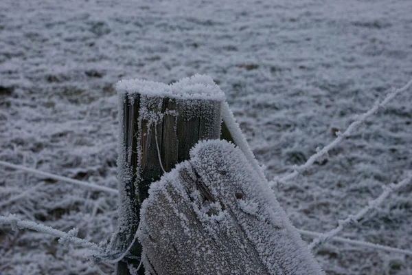 Détail Poteau Tronc Givré Une Clôture Matin Hiver Avec Pâturage — Photo