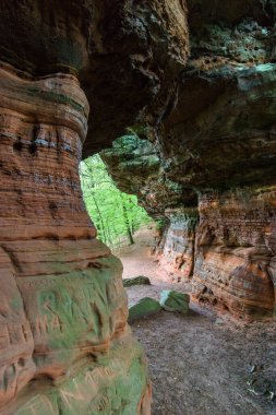Almanya 'nın Eppenbrunn yakınlarındaki ormanda Altschlossfelsen' in kırmızı kumtaşı kayalıkları