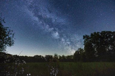 Almanya 'nın Munsterland kentindeki bahar otlağının üzerinde Samanyolu ile gece gökyüzü
