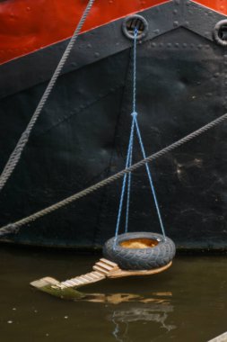 Hollanda, Amsterdam 'da kanalda ördek yuvası