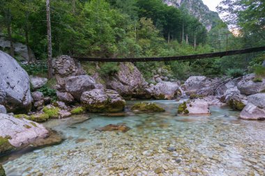 Slovenya 'da sabah ayağının yanındaki yay köprüsünün yanında temiz suyla uzun süre nehir sokası görülebiliyor.