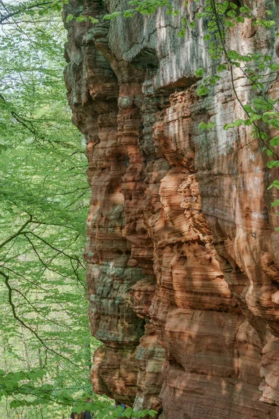 Фрагмент Утворення Гірських Порід Altschlossfelsen Червоного Пісковику Лісі Поблизу Міста — стокове фото