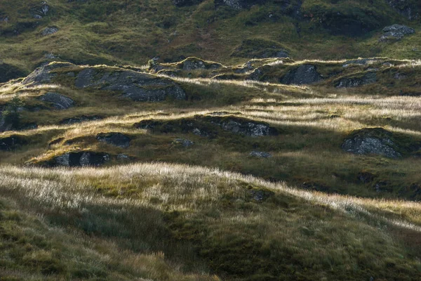 Skoçya Nın Cennet Manzarasında Tepedeki Çimlerin Üzerinde Altın Güneş Işığı — Stok fotoğraf