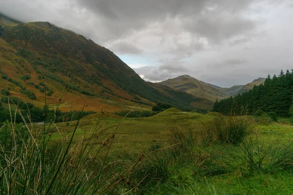 Krajina Glen Nevis Vysokou Mlhou Skotsko — Stock fotografie