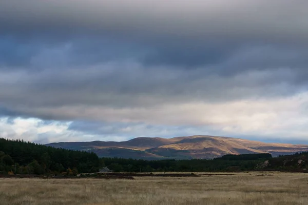 Skoçya Sabah Cairngorms Ulusal Parkı Skoçya Ngiltere Altın Güneş Işığı — Stok fotoğraf