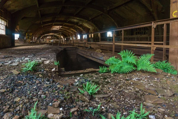 Dark Industrial Interior Old Abandoned Hall Green Plants Grown Foreground — Stock Photo, Image
