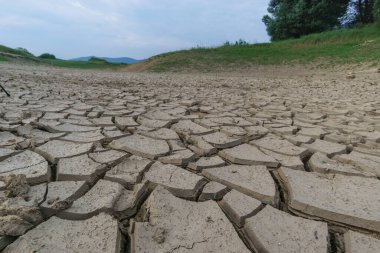 Slovenia Cerknisko Jezero 'nun arka planında çatlak toprak deseni var.
