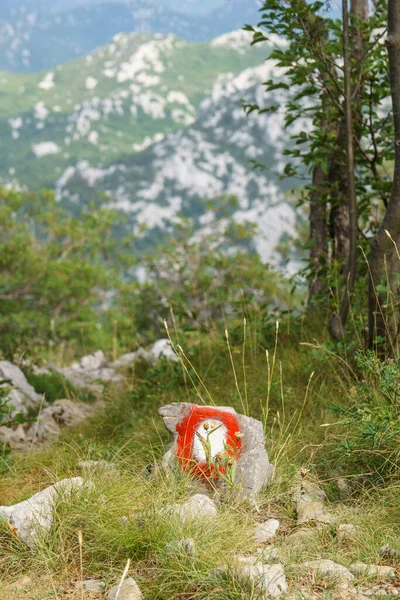 Trail marker on stone in croatian karst landscape, paklenica national park