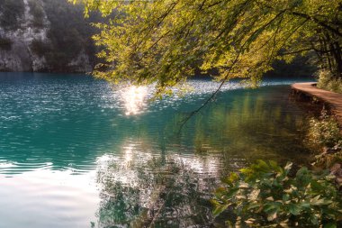 Karst manzarası, Plitvice Gölleri Ulusal Parkı, Hırvatistan 'da güneş ışığı ve ağacı yansıtan güzel turkuaz göl