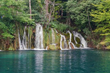 Hırvatistan 'ın Plitvice Gölleri Ulusal Parkı' nda turkuaz su havuzlu huzurlu bir şelale