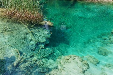 Hırvatistan 'ın Plitvice Gölleri Ulusal Parkı' ndaki turkuaz sularda karst manzarasının görünür zemininde