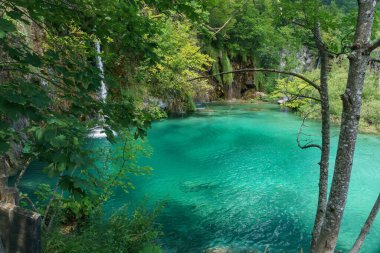 Hırvatistan 'ın Plitvice Gölleri Ulusal Parkı' nda turkuaz su havuzlu huzurlu bir şelale