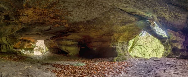 Blick Aus Dem Inneren Einer Höhle Den Wald Mullerthal Luxemburg — Stockfoto