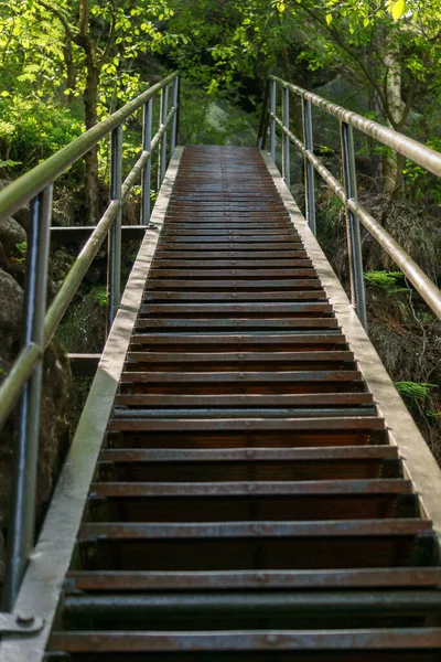 Escalera Acero Que Sube Verde Bosque Verano —  Fotos de Stock