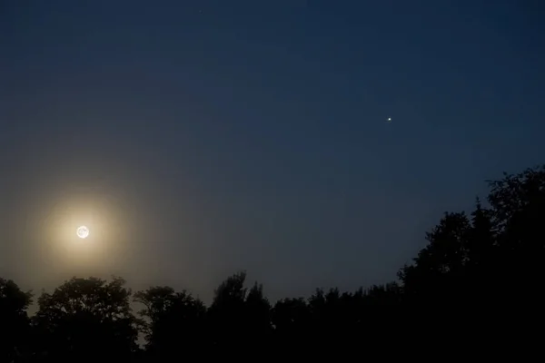Baumsilhouette Der Nacht Mit Vollmond Und Jupiter Nachthimmel — Stockfoto