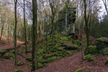 Güneşli bir günde yerde yapraklar olan kış ormanlarında yosun örtülü kaya oluşumu.