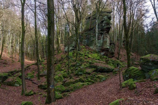 Formation Roches Couvertes Mousse Dans Forêt Hiver Avec Feuillage Sol — Photo