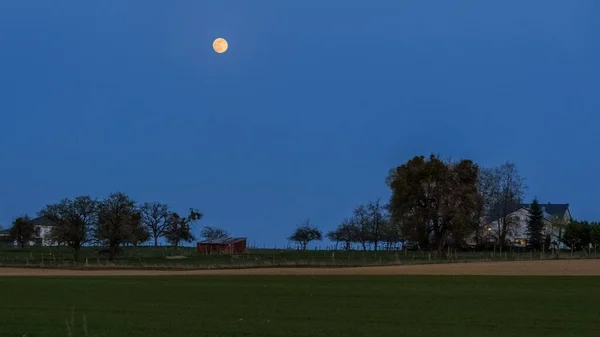 Pleine Lune Heure Bleue Sur Prairie Avec Arbres Vieille Cabane — Photo