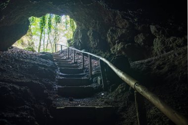 Mağaradan çıkıp güneşe çıkan merdivenler Birresborn, Almanya yakınlarındaki ormanı aydınlattı.