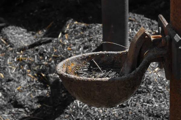 Velho Bebedouro Galpão Abandonado Queimado Pelo Fogo Staudenhof Alemanha — Fotografia de Stock